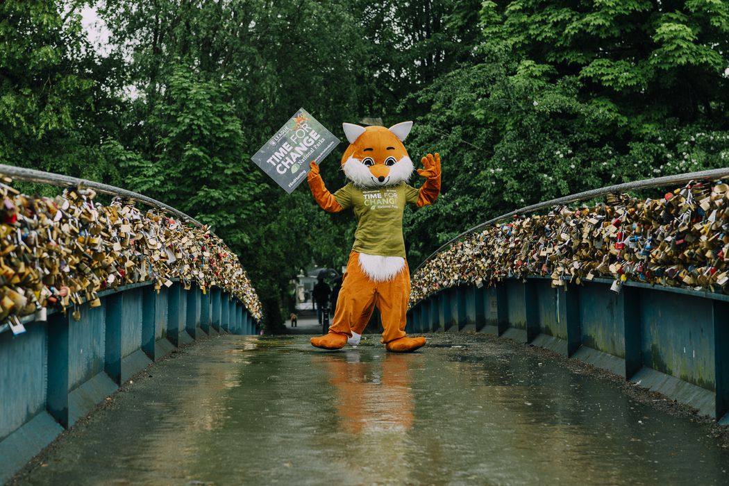 Campaigner in fox costume on Bakewell Bridge